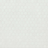 360 3/4" x 3/4" Penny Round Matte Mosaic Tile in White