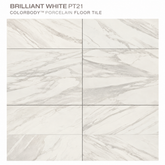 Brilliant White, Rectangle, 12X24, Polished