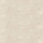 Matte12X24