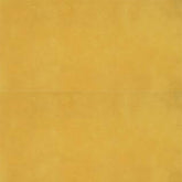 PORTFOLIOVIVIDFloorTile12X24