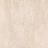 AFFINITY 12X24