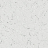 CARRARA MATTE 2" HEXAGON