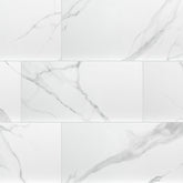 DYMO STATUARY 12X24 GLOSSY