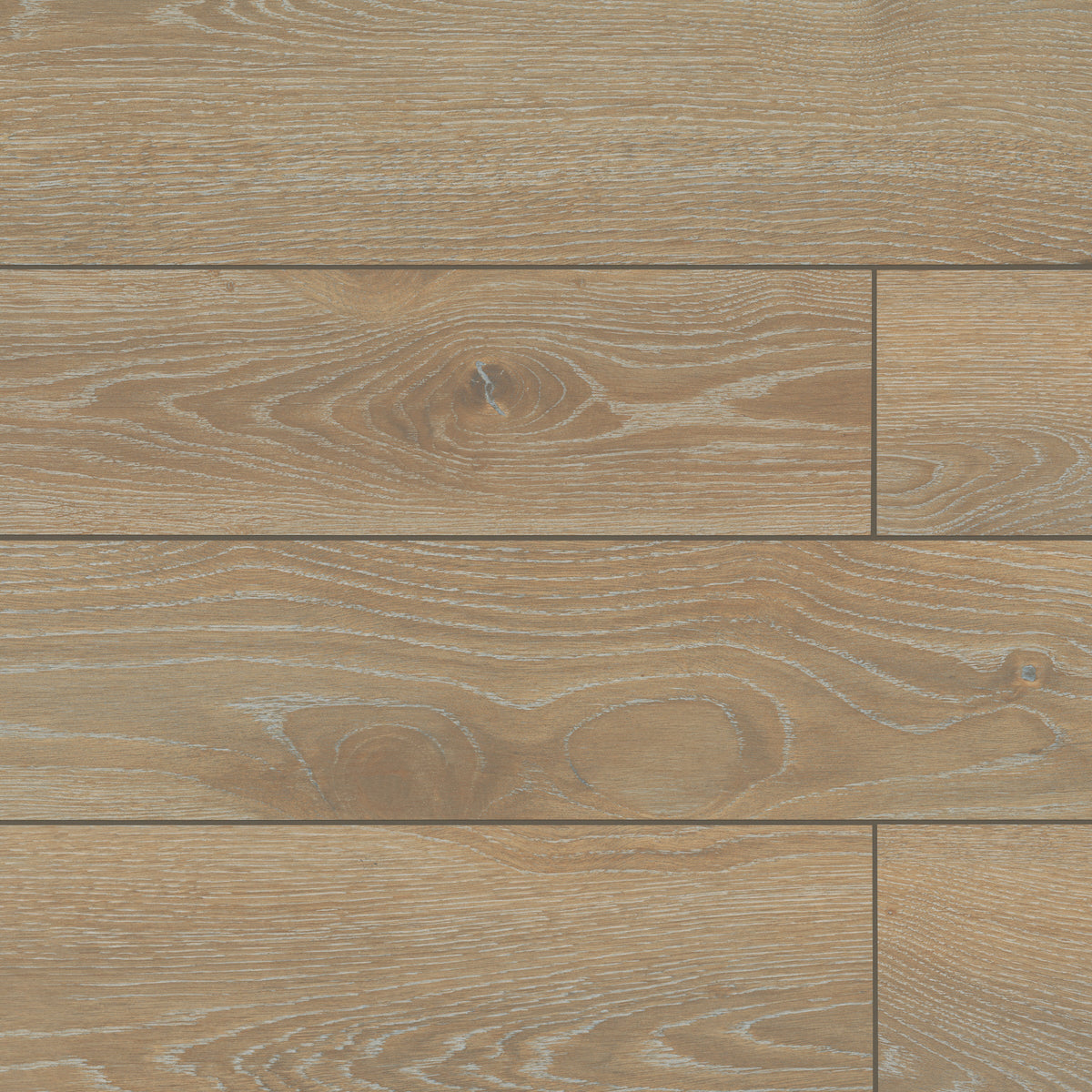 Bedrosians Timberline 10" x 72" Honed Porcelain Wood-Look Field Tile in Oak | Item Code 100002792