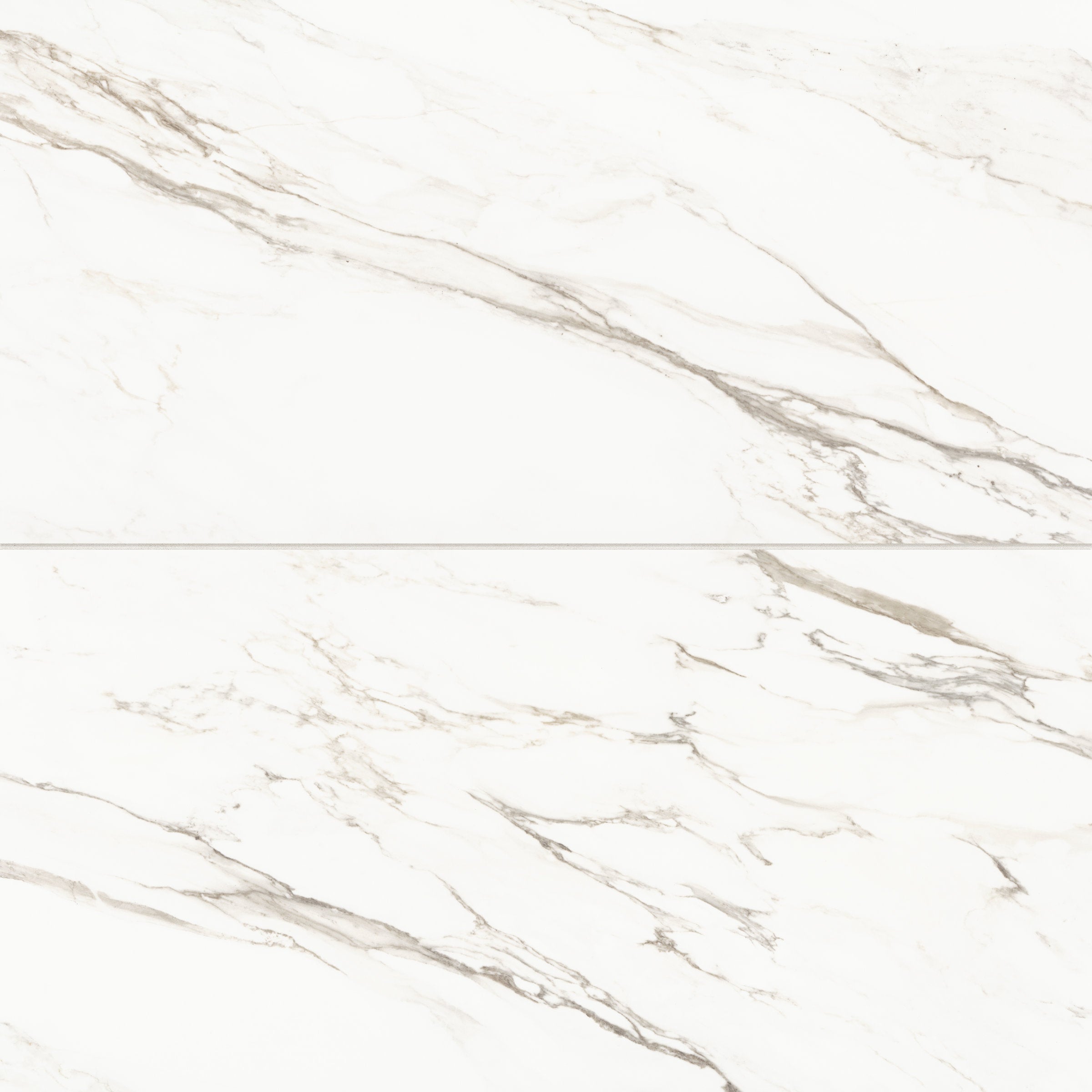 Bedrosians Prati 24" x 48" Honed Porcelain Field Tile in Calacatta Borghini Warm | Item Code 100003511
