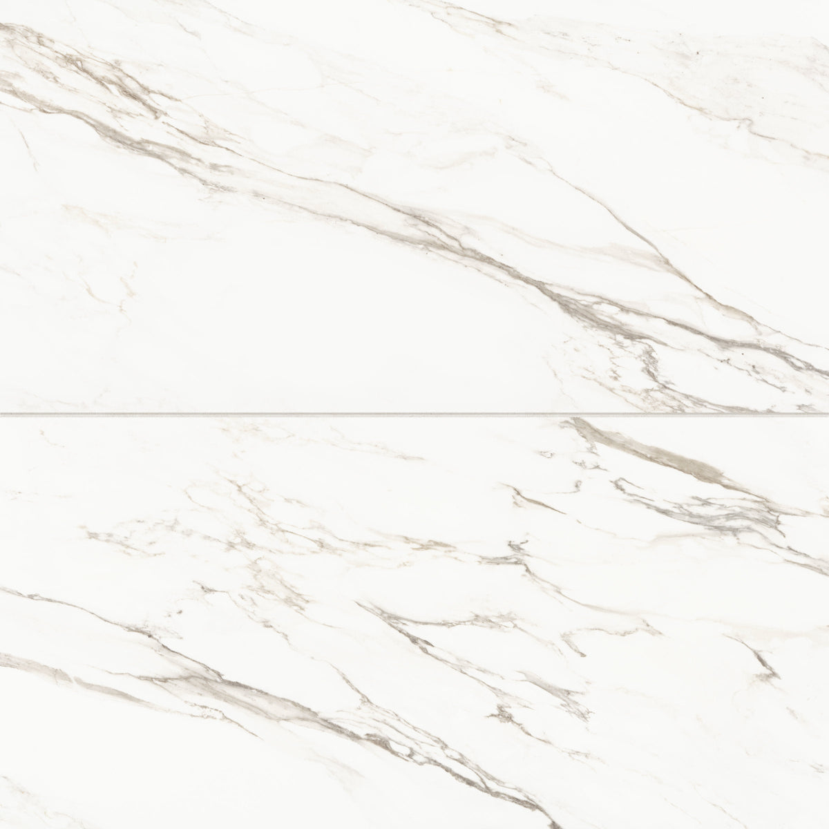 Bedrosians Prati 24" x 48" Honed Porcelain Field Tile in Calacatta Borghini Warm | Item Code 100003511