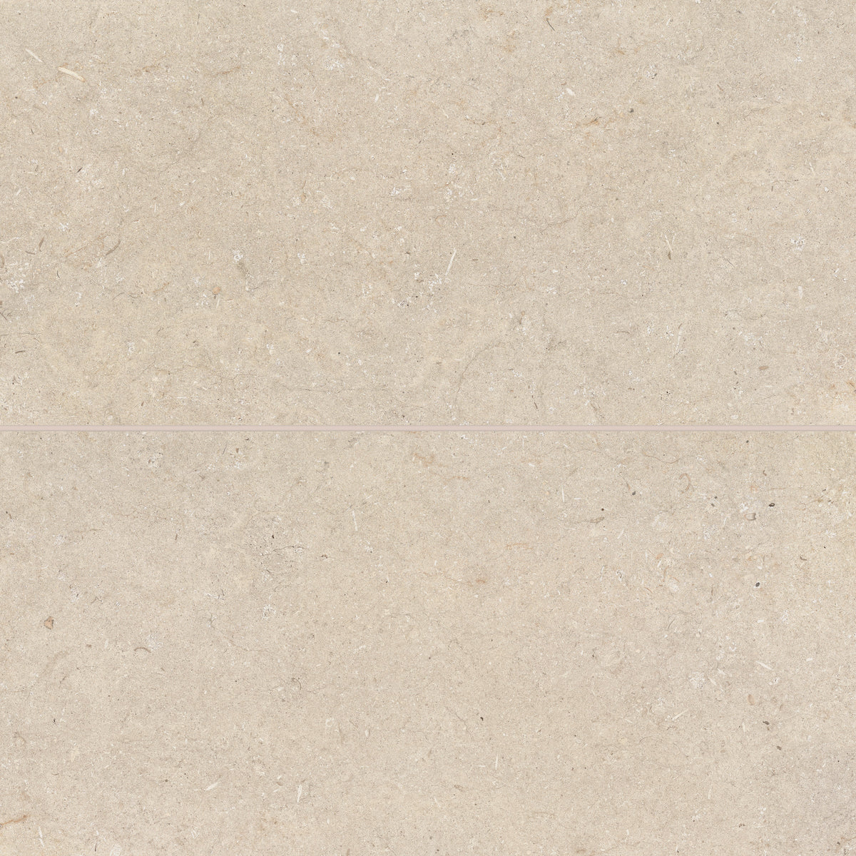Bedrosians Poetry Stone 24" x 48" Matte Porcelain Field Tile in Beige | Item Code 100005404