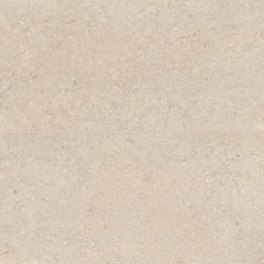 Bedrosians Poetry Stone 24" x 48" Matte Porcelain Field Tile in Beige | Item Code 100005404