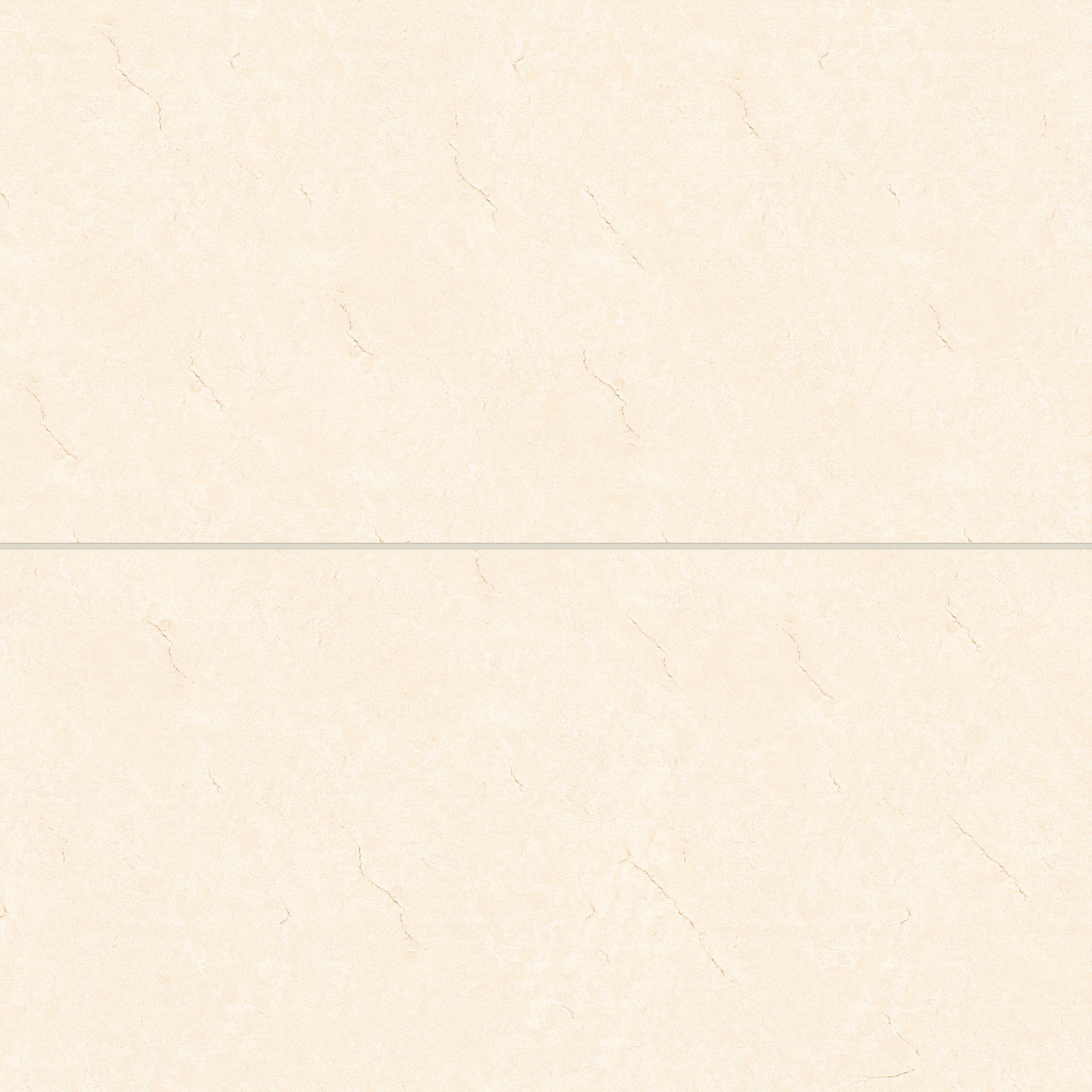 Bedrosians Shandar 24" x 48" Polished Porcelain Field Tile in Crema Marfil | Item Code 100005451