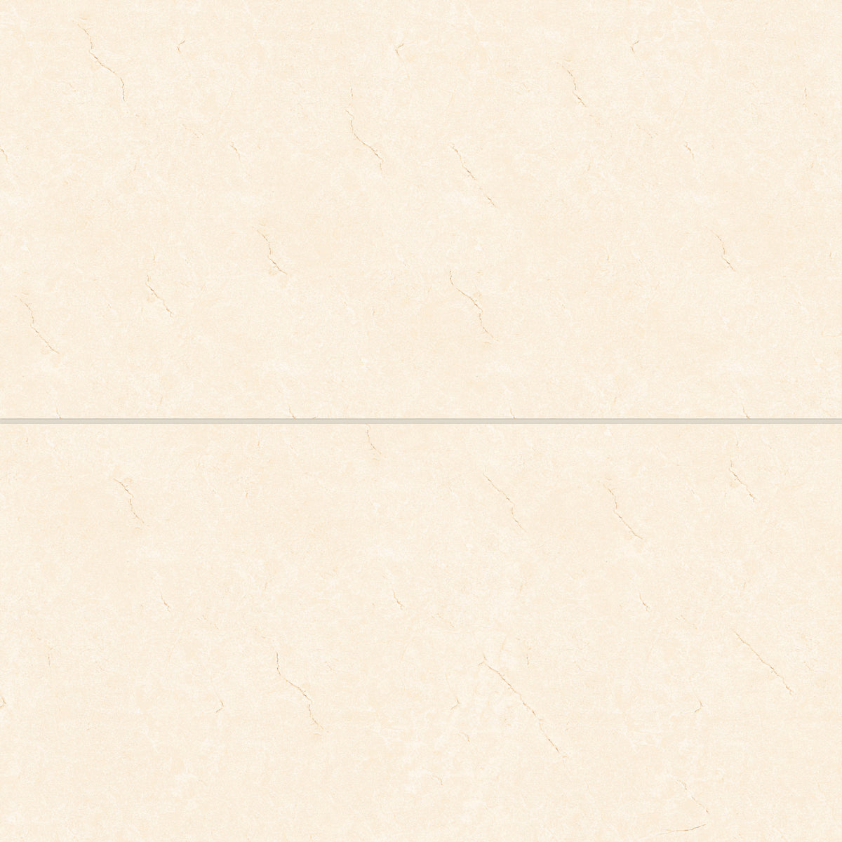 Bedrosians Shandar 24" x 48" Polished Porcelain Field Tile in Crema Marfil | Item Code 100005451