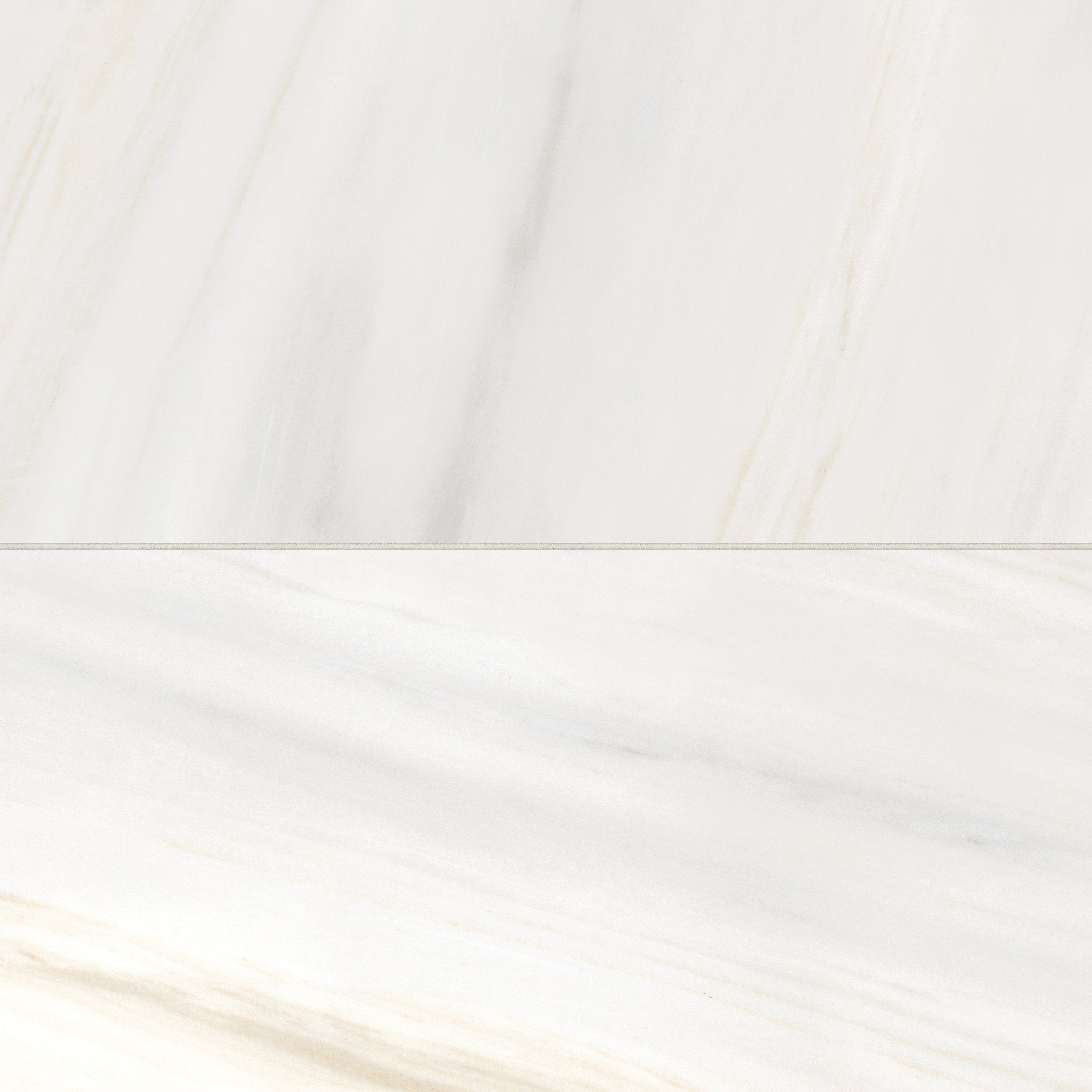 Bedrosians Magnifica Era 24" x 48" - 8mm Honed Porcelain Tile in Bianco Lasa | Item Code 100007406