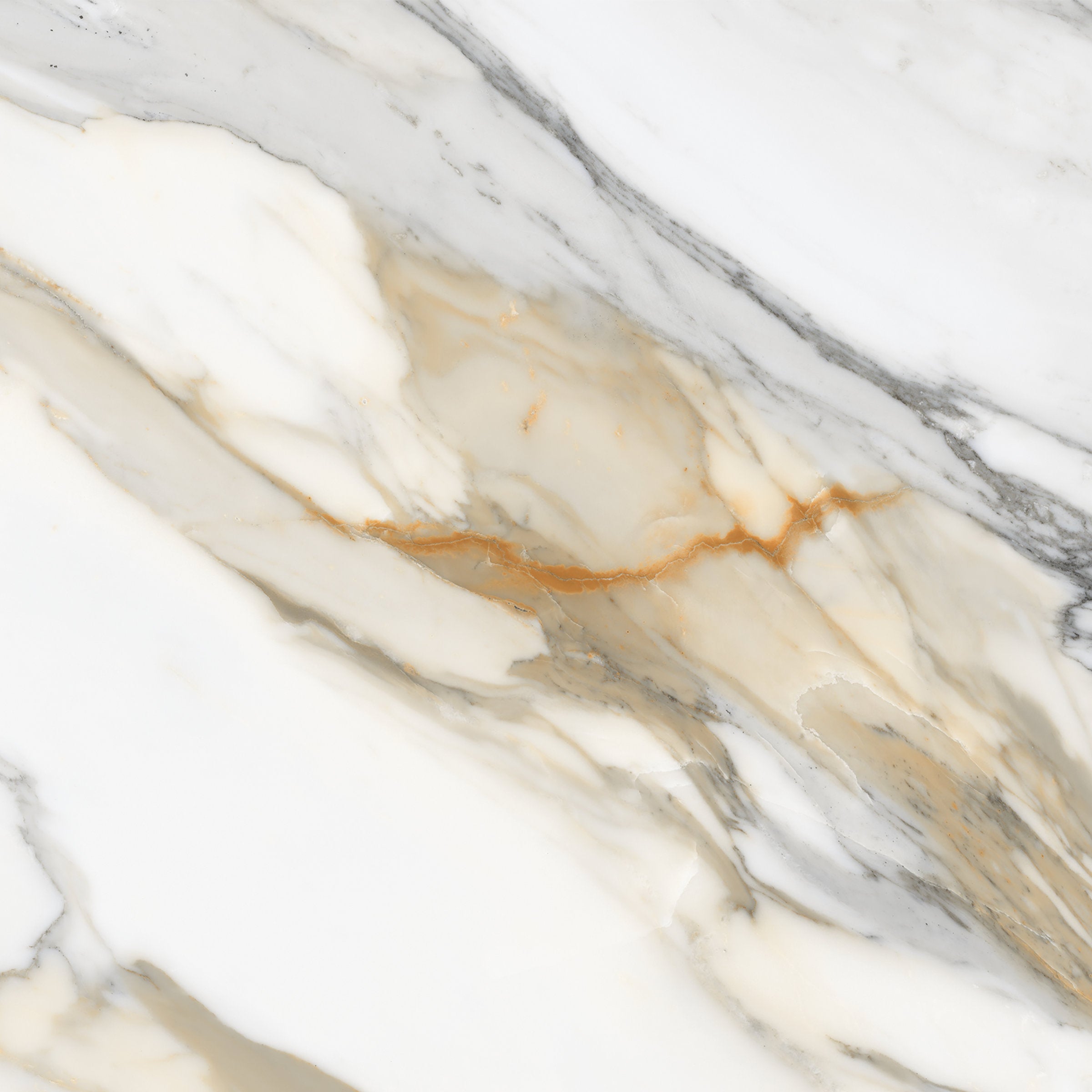 Bedrosians Magnifica The Thirties 30" x 30" - 8mm Polished Porcelain in Calacatta Macchia Vecchia | Item Code 100007435