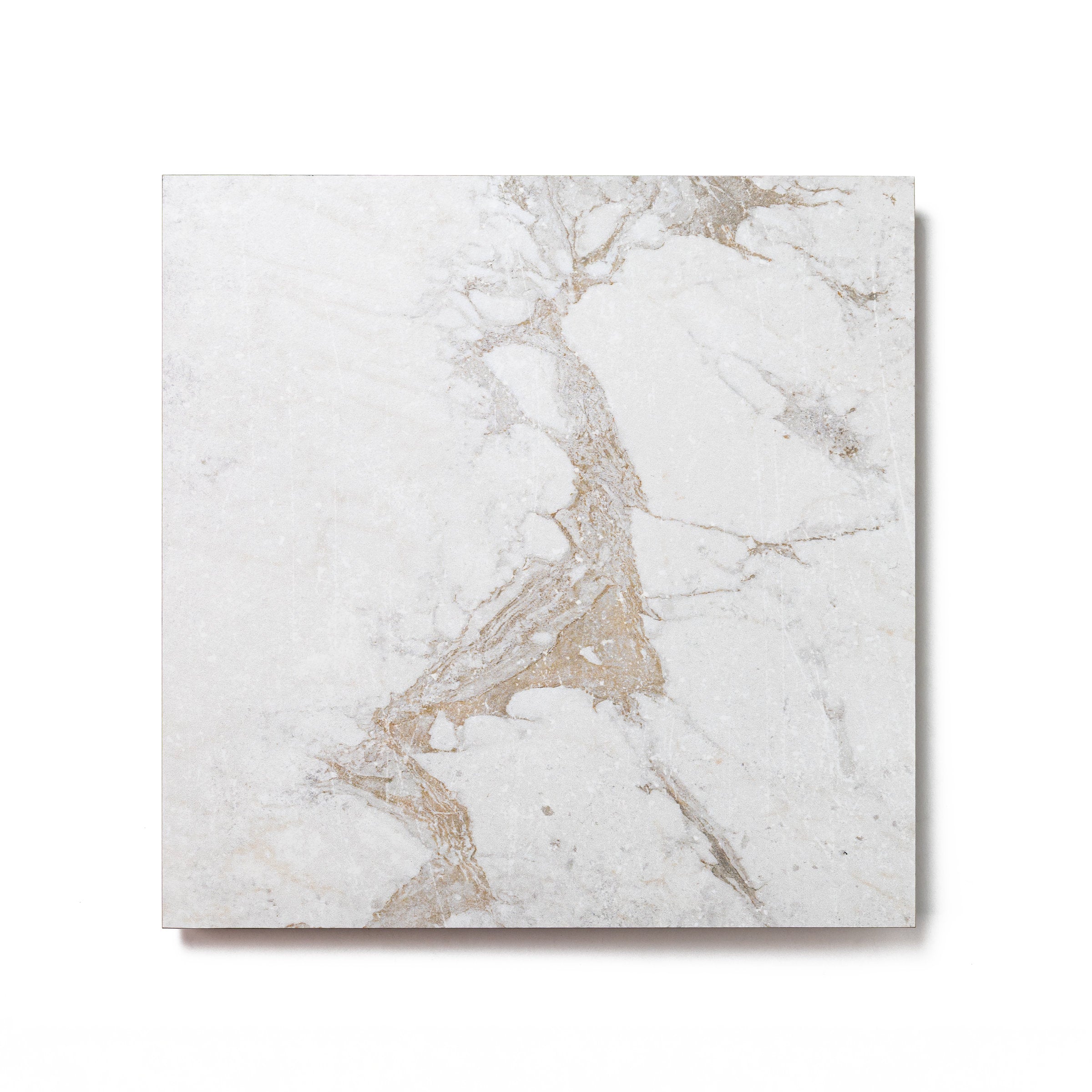 Bedrosians Antica Roma 12" x 12" Matte Porcelain Tile in Bianco | Item Code 100008987
