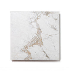 Bedrosians Antica Roma 12" x 12" Matte Porcelain Tile in Bianco | Item Code 100008987