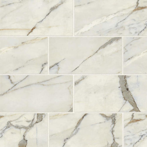 Classic 2.0 12x24 Field Tile - Pressed - Matte