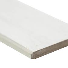 ARTICULO 3X24 Bullnose, Matte