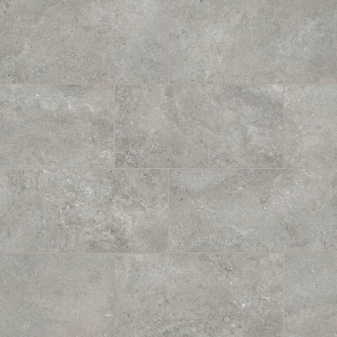Ikonite 12" x 24" Honed Porcelain Field Tile in Grey