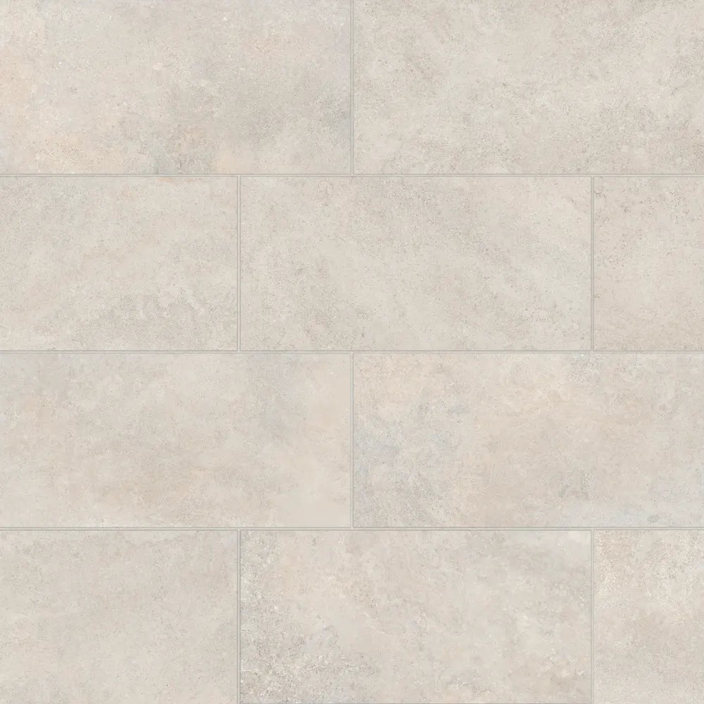 Ikonite 12" x 24" Honed Porcelain Field Tile in Light
