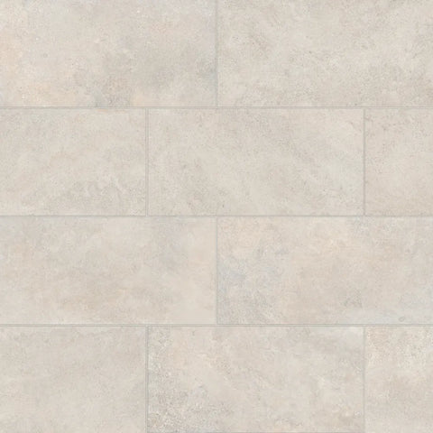 Ikonite 12" x 24" Honed Porcelain Field Tile in Light
