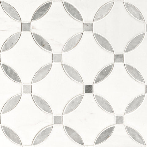 BIANCO DOLOMITE LOLA POLISHED 10 x 10