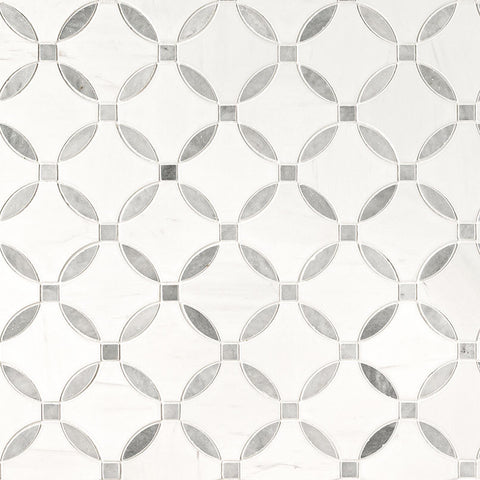 BIANCO DOLOMITE LOLA POLISHED 10 x 10