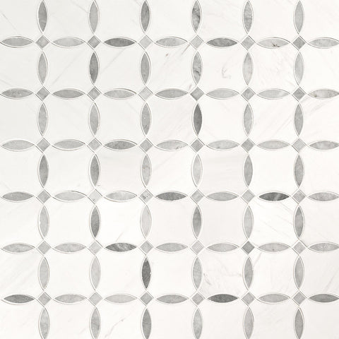 BIANCO DOLOMITE LOLA POLISHED 10 x 10