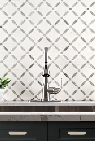 BIANCO DOLOMITE LOLA POLISHED 10 x 10