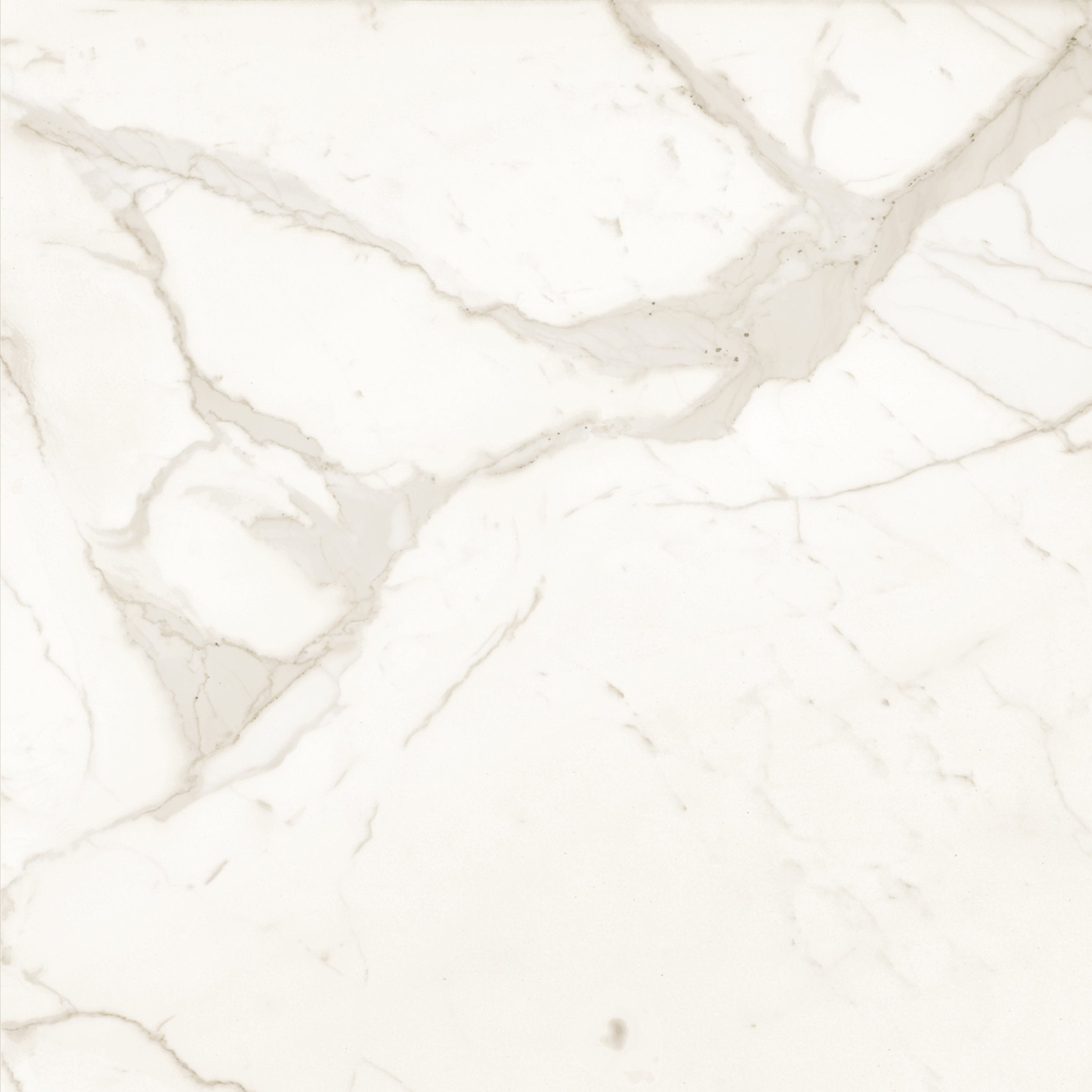 Bedrosians Magnifica The Thirties 30" x 30" - 8mm Honed Porcelain Tile in Calacatta Super White | Item Code DOLMAGCAL3030-8H