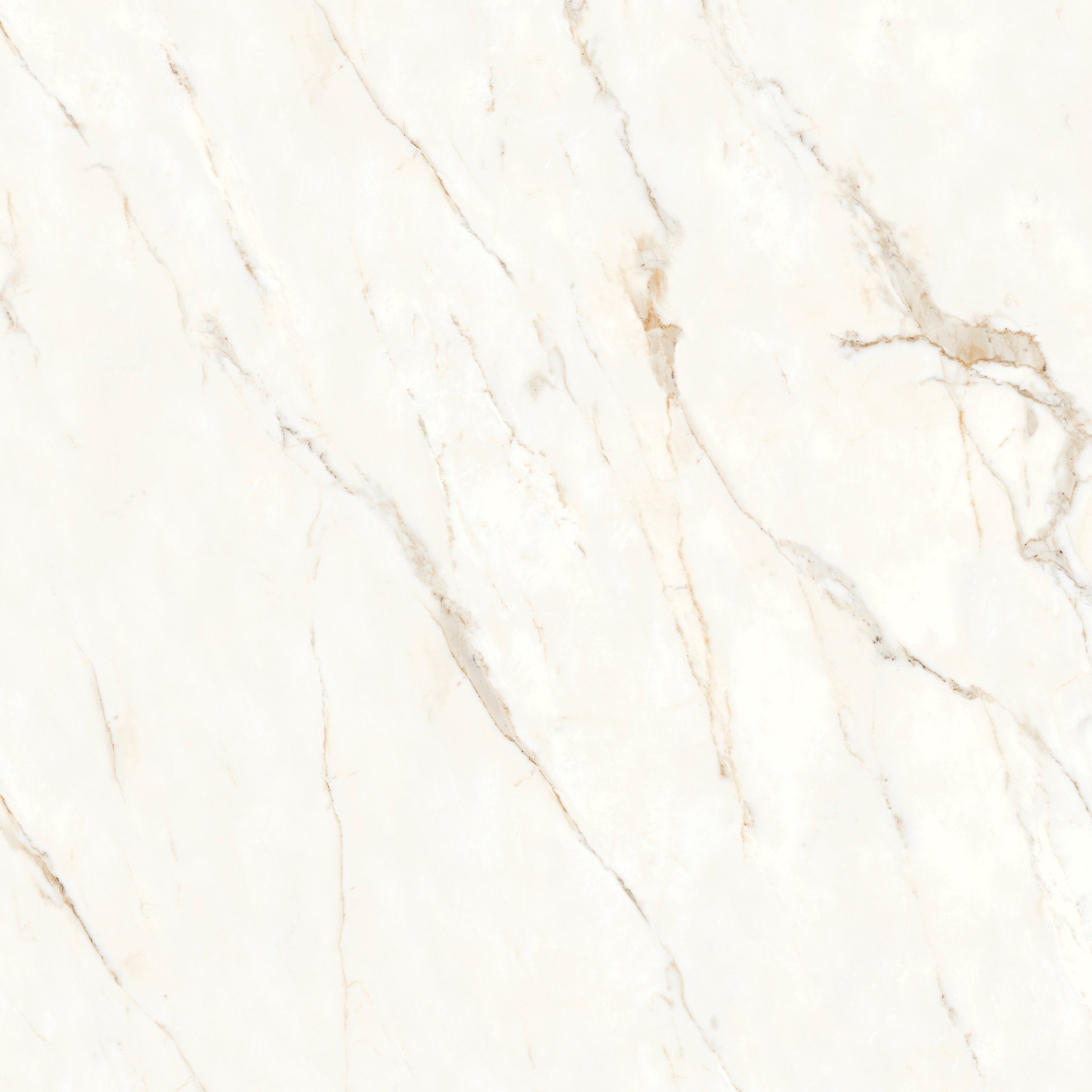 Bedrosians Magnifica Nineteen Forty-Eight 48" x 48" - 8mm Honed Porcelain Tile in Calacatta Oro | Item Code DOLMAGORO4848-8H