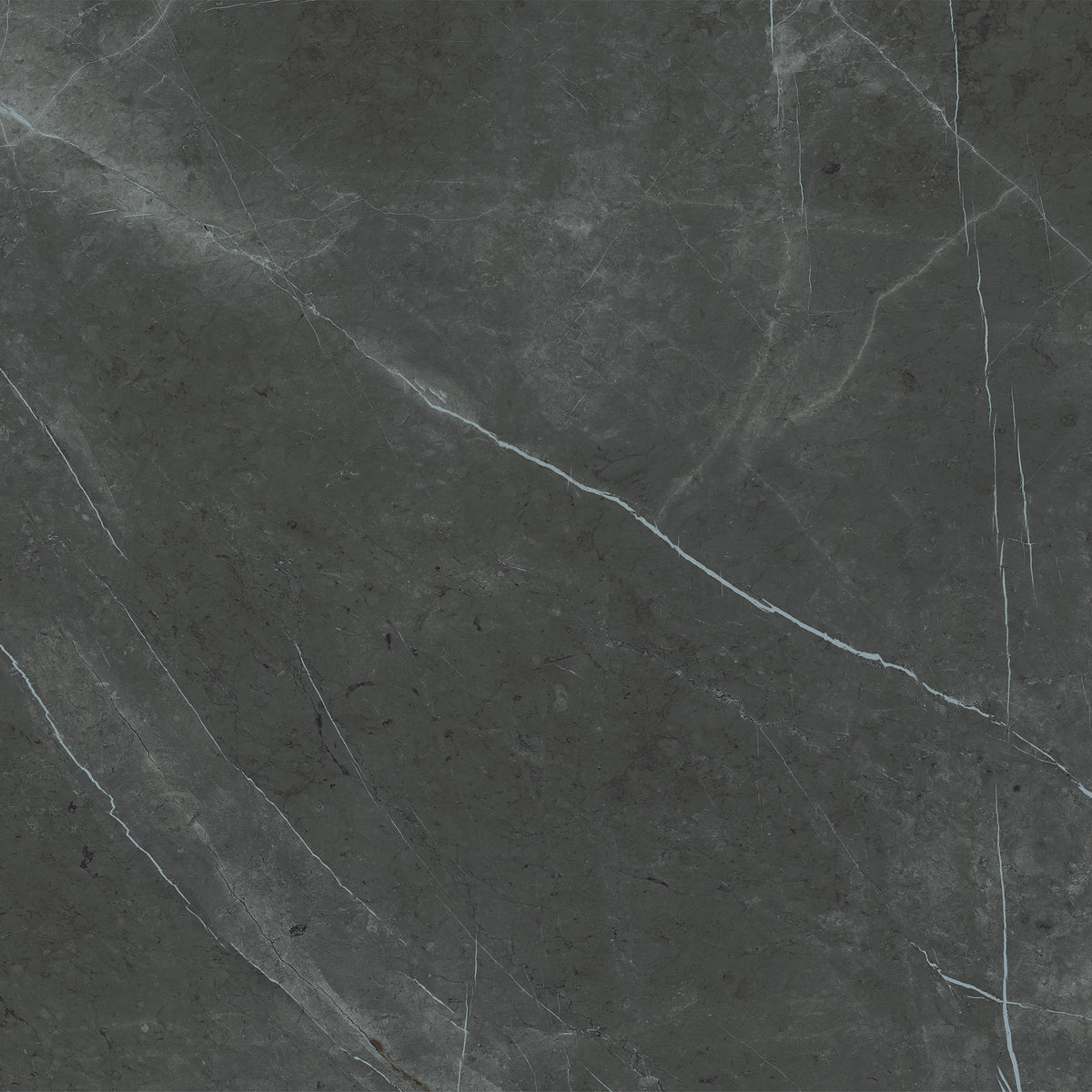 Bedrosians Magnifica The Thirties 30" x 30" - 8mm Polished Porcelain Tile in Pietra Grey | Item Code DOLMAGPIE3030-8P
