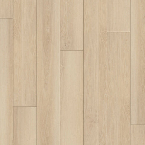 Happy Feet Regency 7" x 59.05" 8mm 20mil Stabilicor Plus Sandy Bay