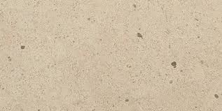 INDUSTRIAL PARK FLOOR TILE 12X24