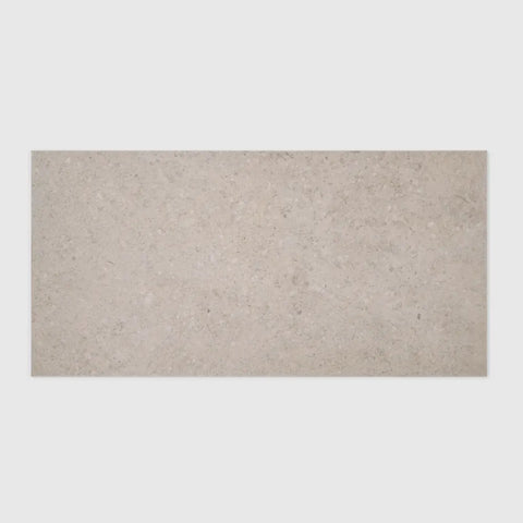 Ikonite 12" x 24" Honed Porcelain Field Tile in Light
