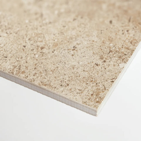 Ikonite 12" x 24" Honed Porcelain Field Tile in Walnut