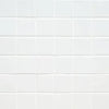 WHITE POLISHED 2X2 MOSAIC