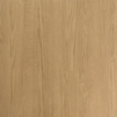 Baller Rally Class II Slam  252 30 LF