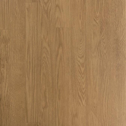 Baller Rally Class II Varsity 253 30 LF