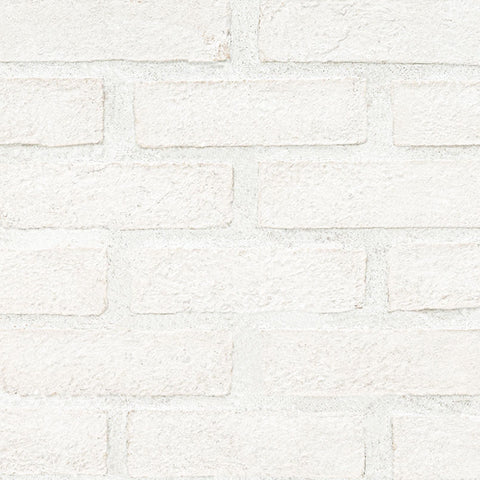 ALPINE WHITE CLAY BRICK MESH 2.25X7.5