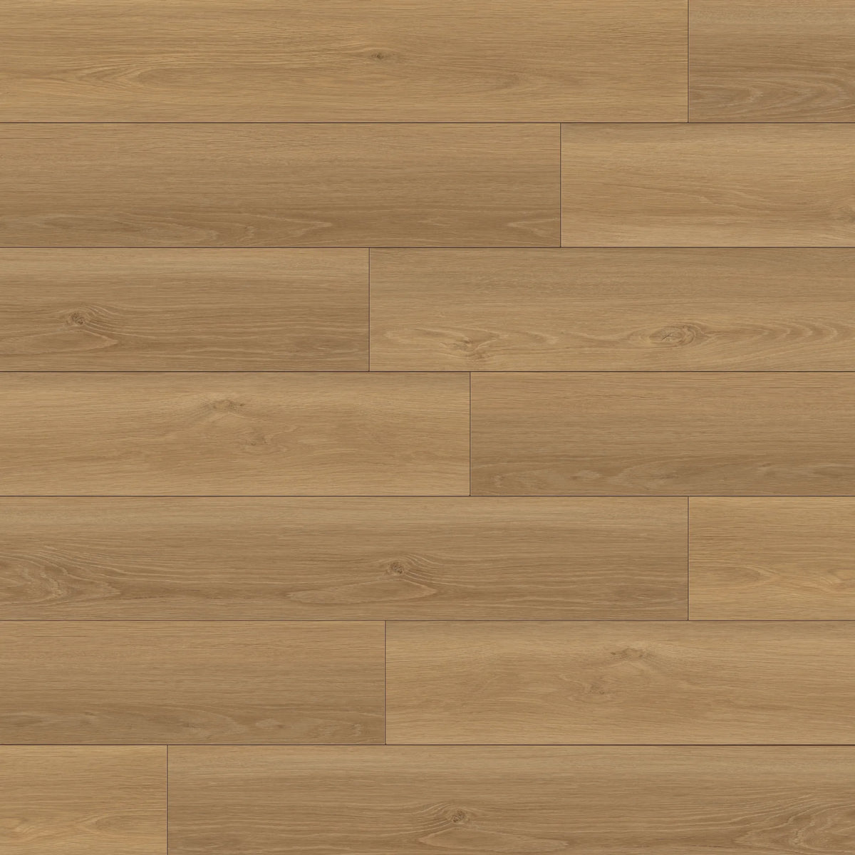 Solana 9" x 60" 10mm Engineered HDF Wood in Prospect