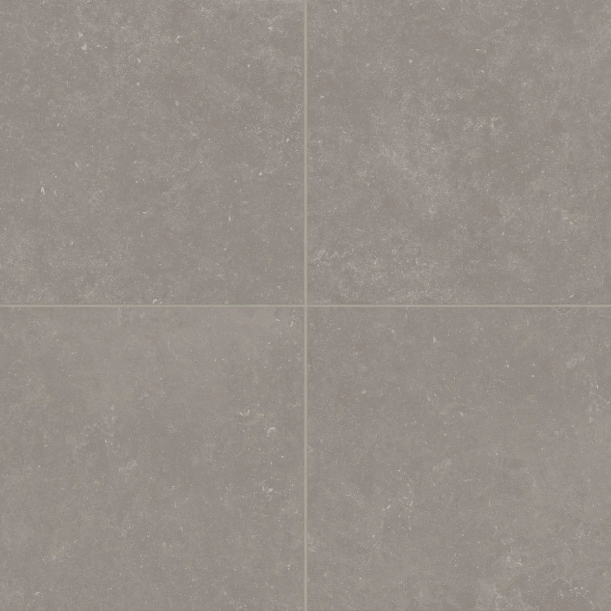 Bluerun 24" x 24" Matte Porcelain Field Tile in Atlas Gray