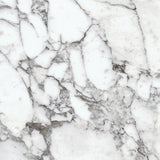 MARBLE ATTACHE  Lavish  24X24