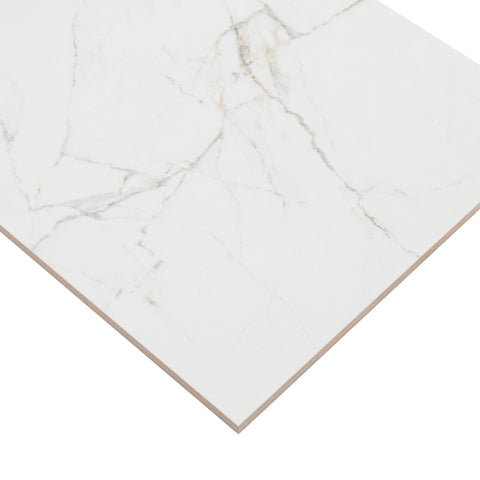DYMO CALACATTA WHITE 12X24