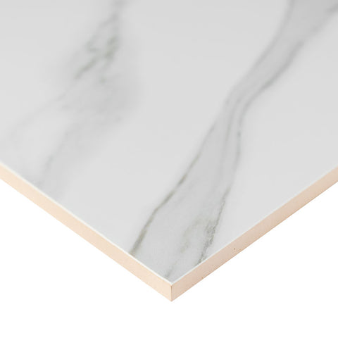 DYMO STATUARY 12X24 GLOSSY