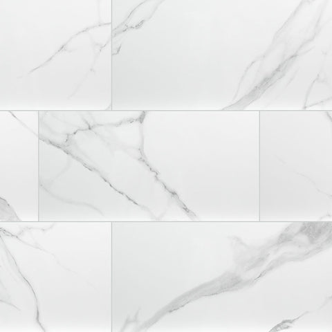 DYMO STATUARY 12X24 GLOSSY